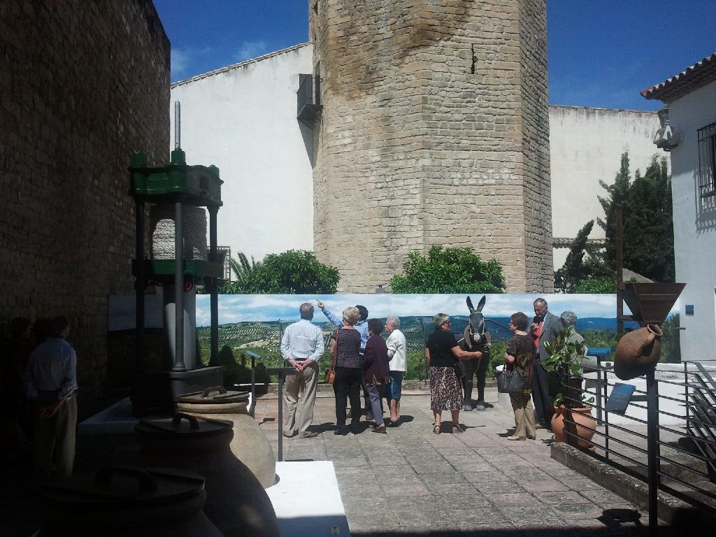 visita grupo 3
