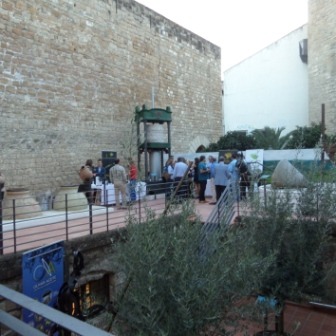 Patio del Centro