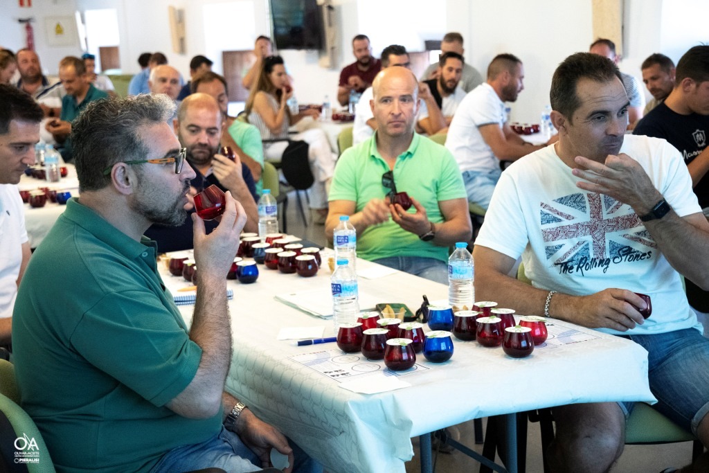 CURSO MAESTROS DE ALMAZARA2