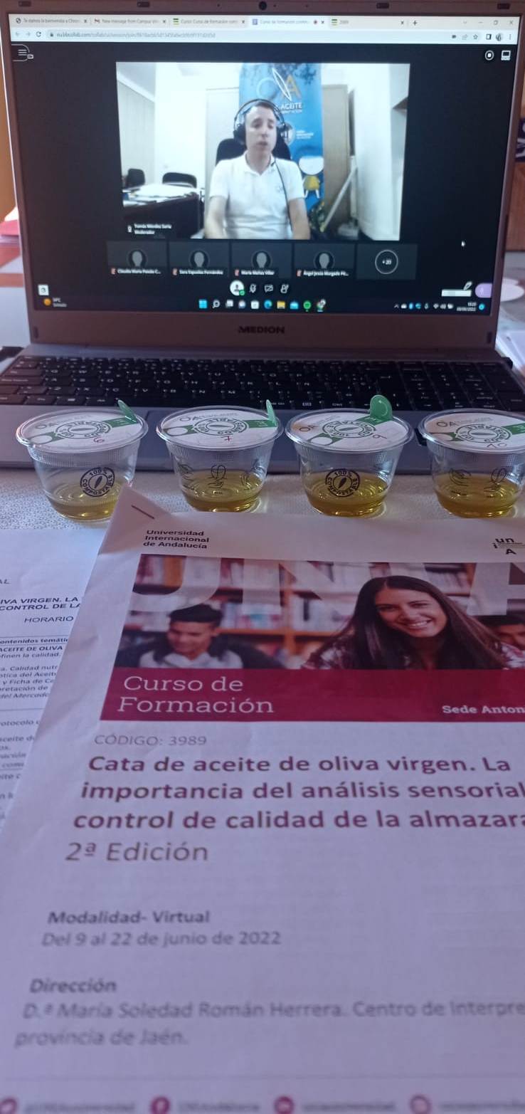 CURSO ONLINE UNIA (13)