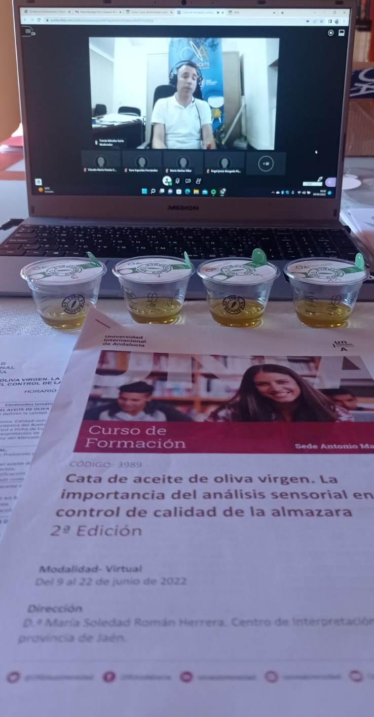 CURSO ONLINE UNIA (4)