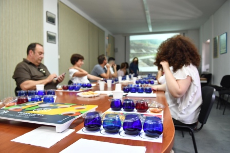 Club de Cata Olivar y Aceite