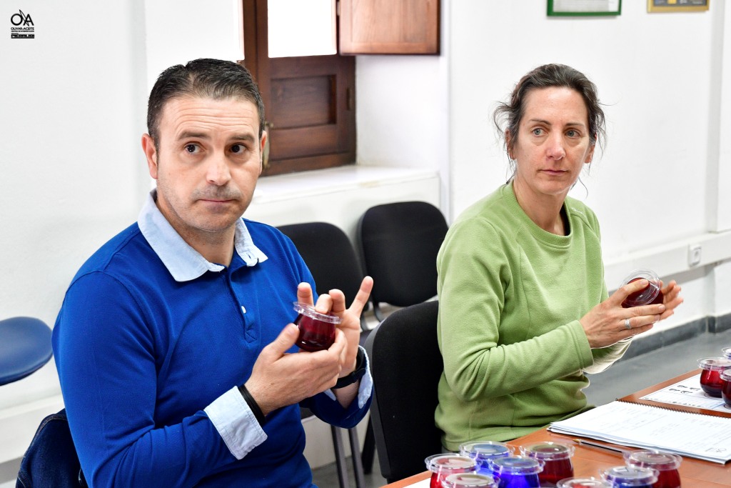 Curso de Cata de aceite