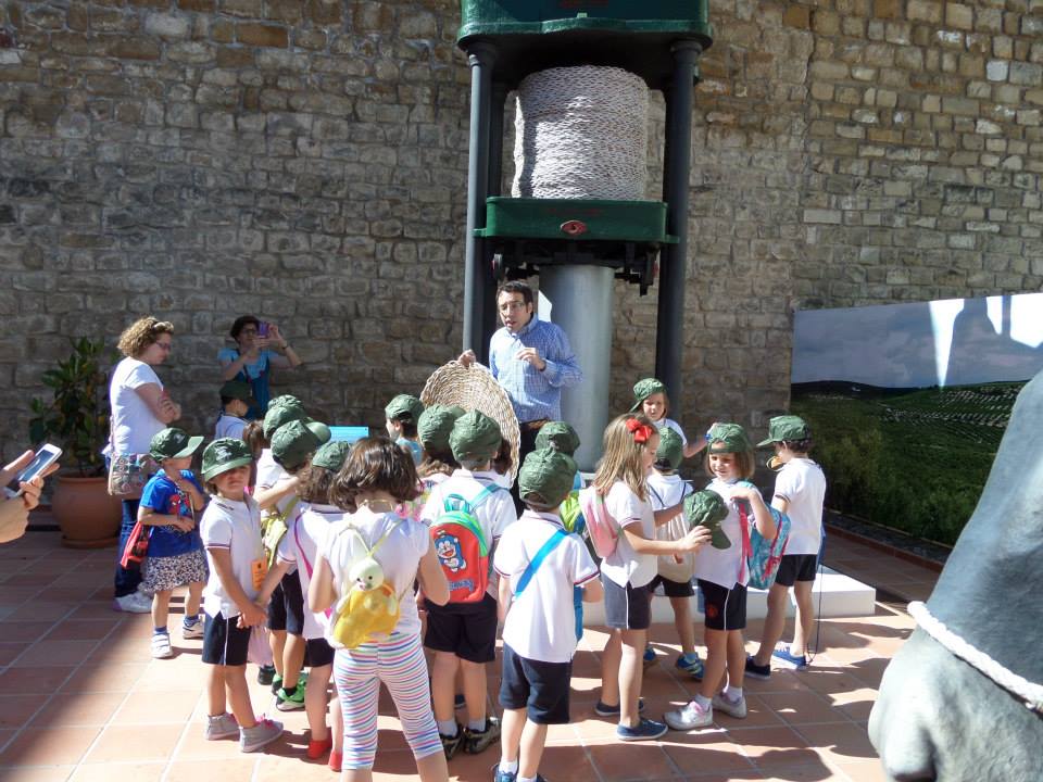 Museo