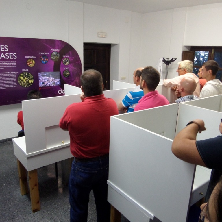 Grupo visitando el museo