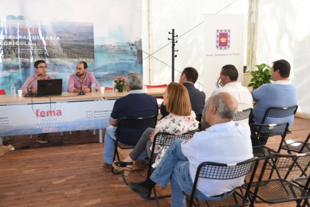 Cursos en FEMA