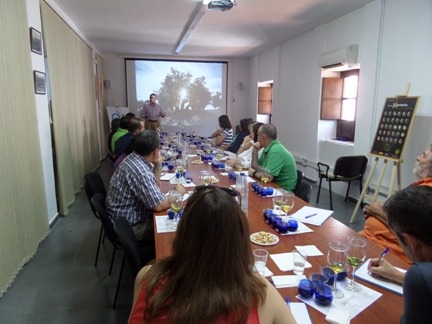 Curso Cata AOV Nivel Avanzado 3