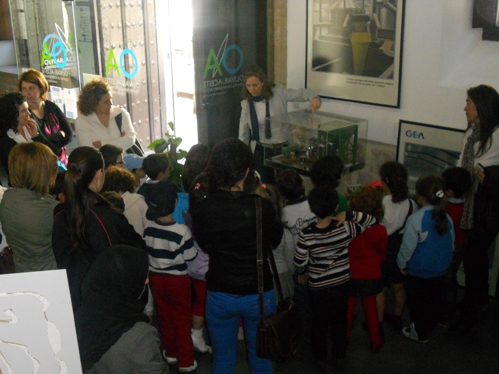 visita safa