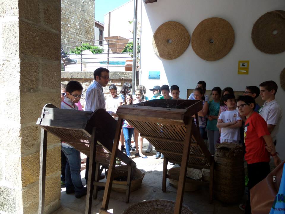 Visita museo