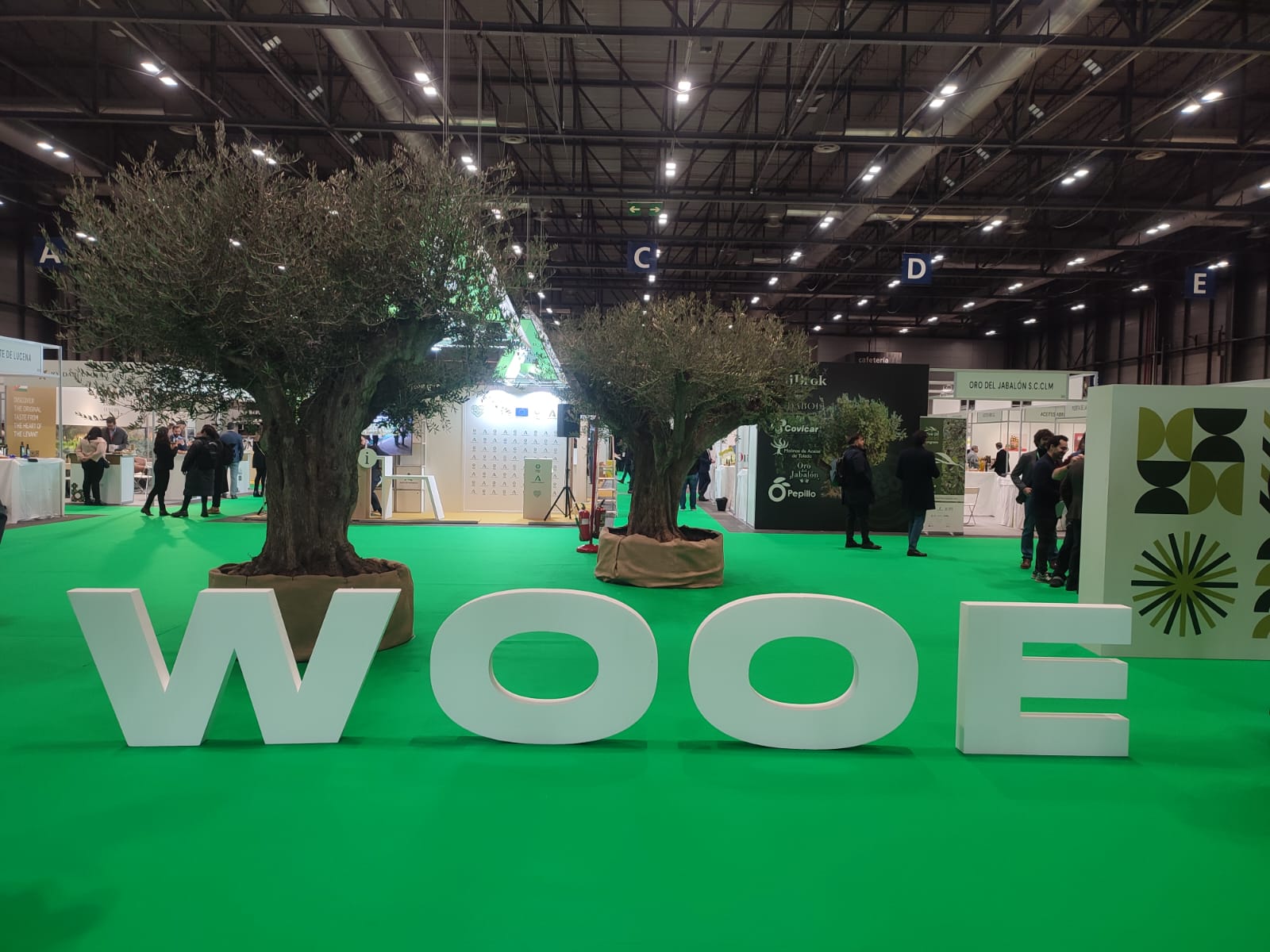 WOOE 2023 (14)