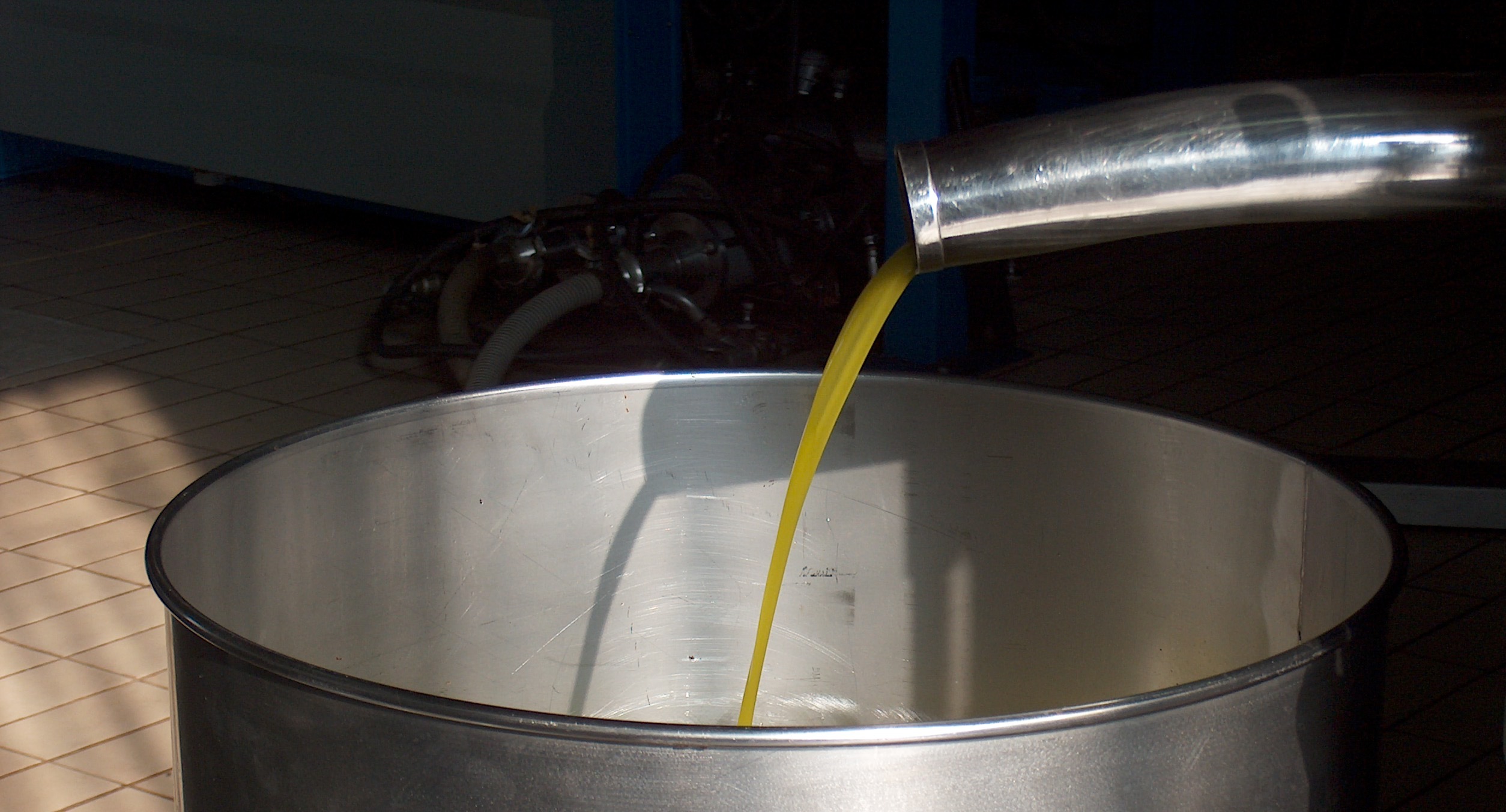 aceite
