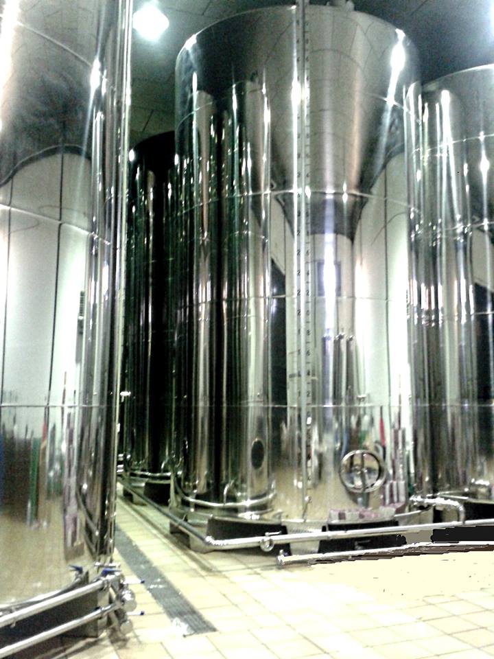 bodega aceite