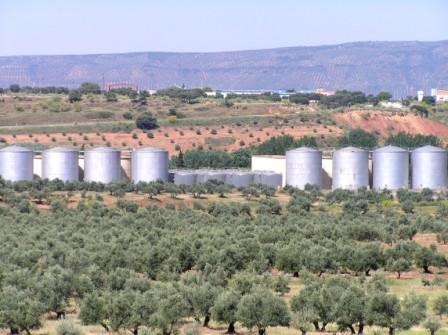 campo