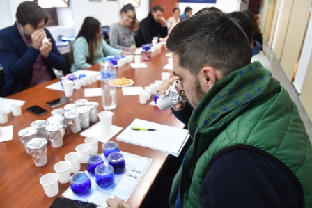 Curso de Cata