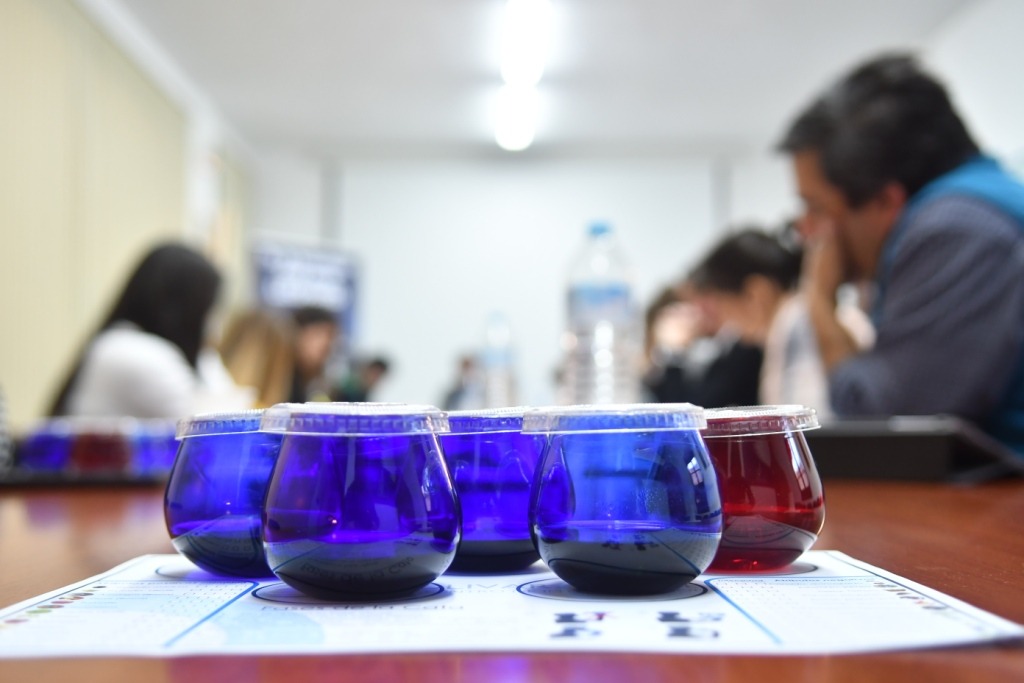 Copas de cata