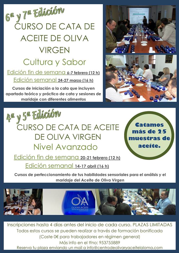 cursos