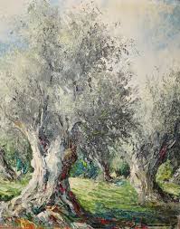 olivo